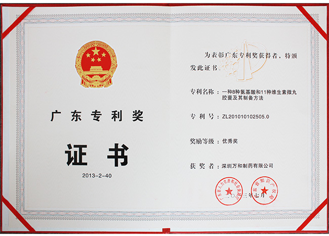 2013年和安-广东专利奖